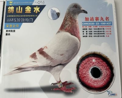 ���︽����9��