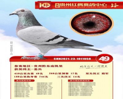 ������49��