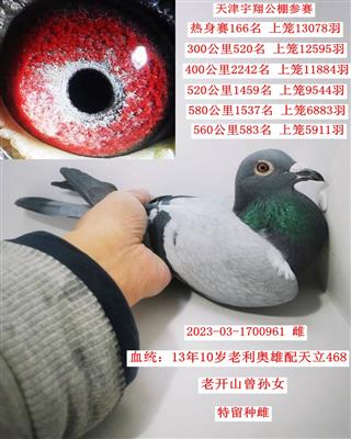 ��ħֱŮ����ת�ã�