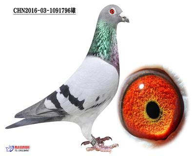 С�I(l��ng)��