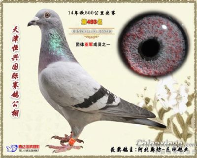 A(lin)˵һS䌦(du)