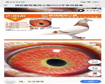 i蹫23괺Qِ238λ