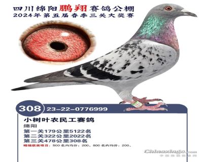 ���蹫��24�괺������308λ