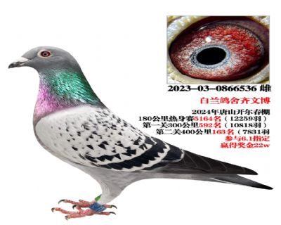 Ӯ22