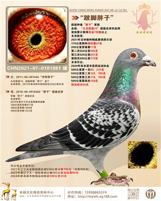 ���˽����ӡ�500����173��