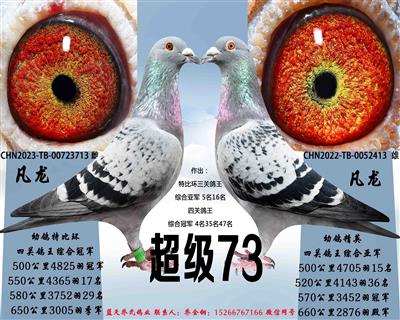 (j)73