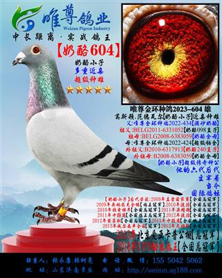 ҽס604