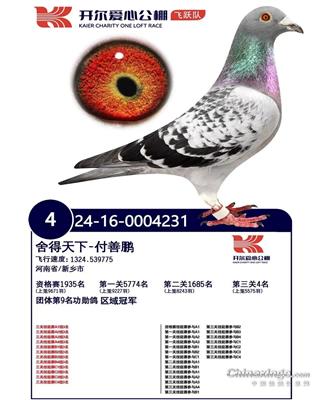 _(ki)Qِ4