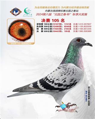 2024�����ɹű���֮������105��