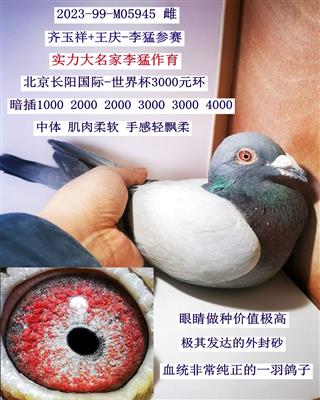 3000ͣ