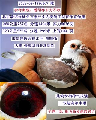 筻ִƣۣ
