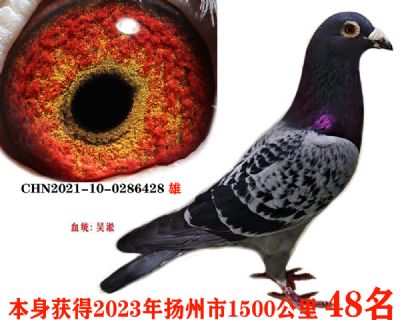002a2d94fb955205387369875bb51c4
