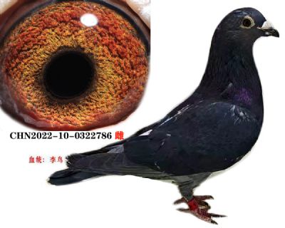 15496ece82928fd8f2b0c485cbbdf4d