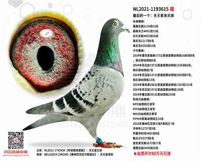 ����һ�������������ֵ�