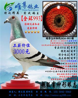【金环993】兄妹近亲作育