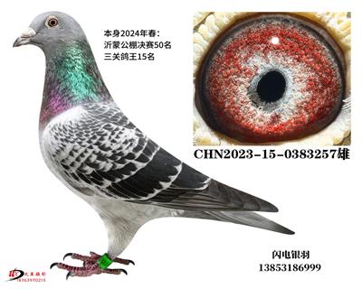 2024年春沂蒙公棚決賽50名