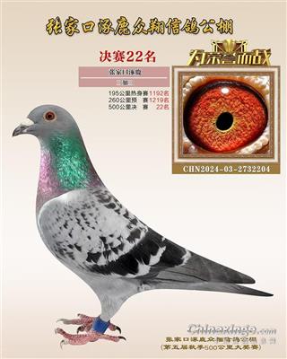 22