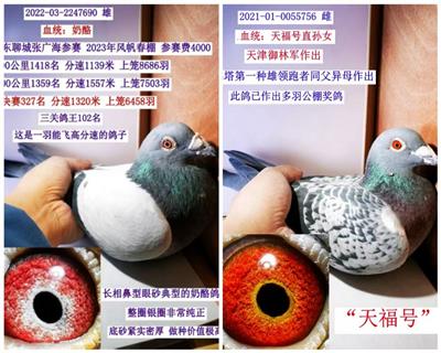 (Ӵ1000һ