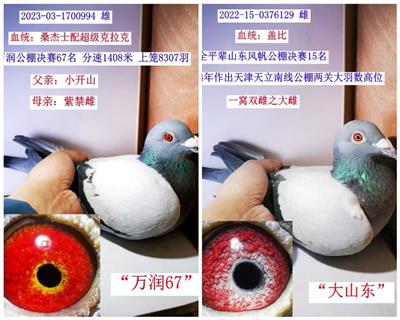 (Ӵ1000һ