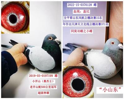 Ӵ2000һ