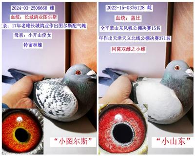 (Ӵ1000һ