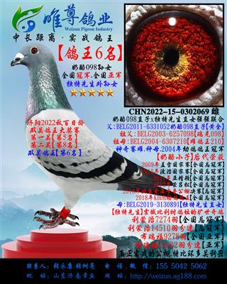 【鸽王6名】【黄金】直女