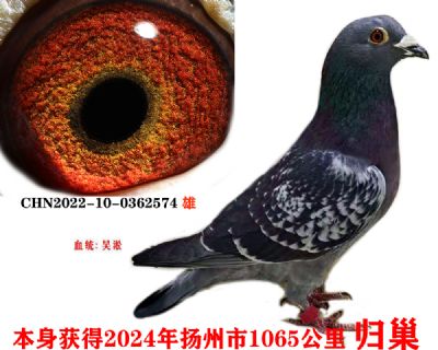 ba25610d0d3c74c702f01ae100322ee