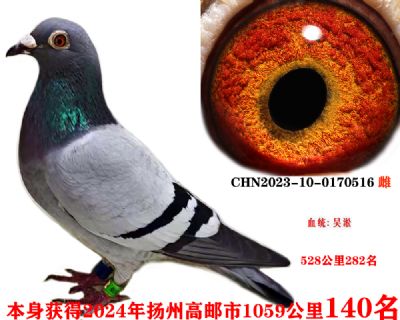 b76964d1b7b82d85a2c1c65c2c3e7b4