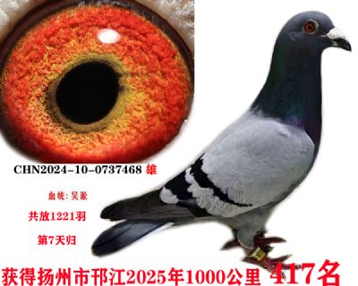 ǧ417
