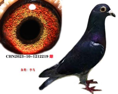 B09