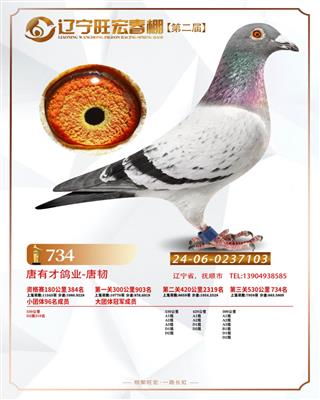25괺Qِ734