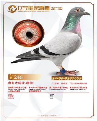 |괺Qِ246