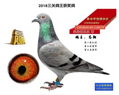 双冠军