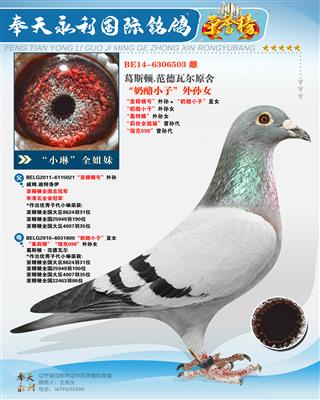 ��˹��.�����߶�ԭ��