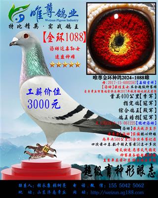 h(hun)1088ýH