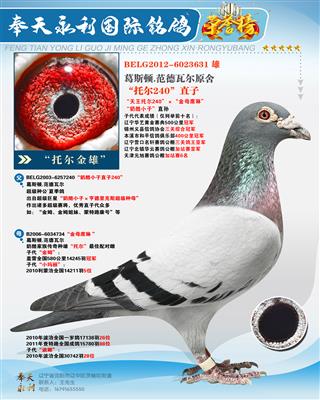 ��˹��.�����߶�ԭ��