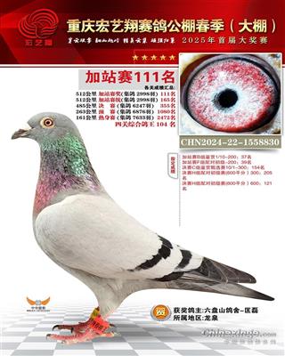 ˇ25괺Qِ355ِ111