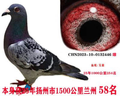 m586