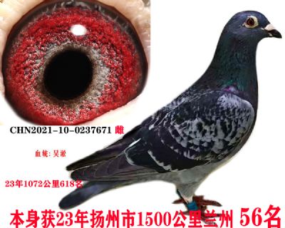 m566