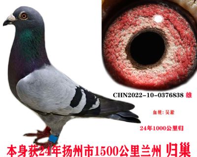 mݚw25