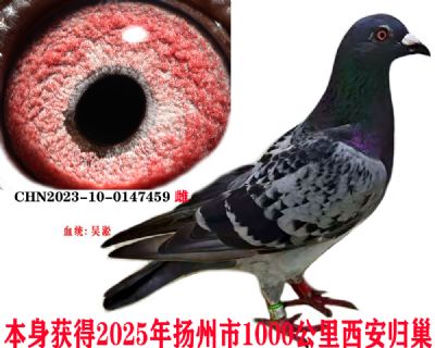 ǧ