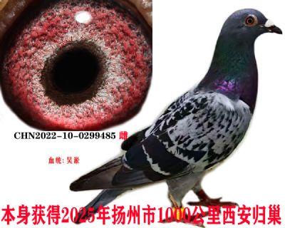 3c06a4c399f1fd3e77398345e7e12b3