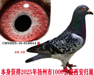 3f1b045e5d11421d01e09e0e51b6589
