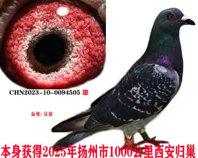 068e0849d6d3f71be942adf4cf69104