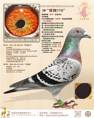 ������770���������ۡ����ӡ��������