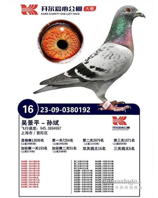 �½�ķ�����á�ֱ��Ů��