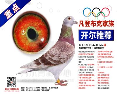 �����������ӡ���������ֱ��