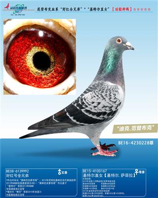 ǲѪϵúȫֵܡ*ضֱŮ