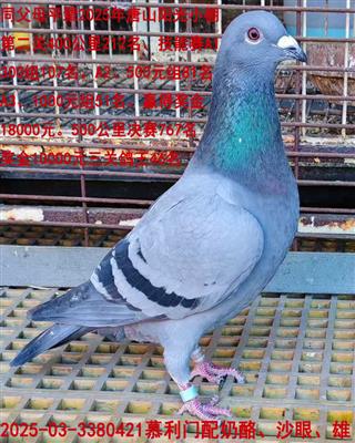 Ľ����������