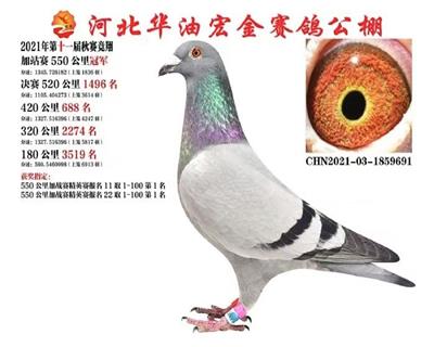 �ӱ����ͺ�����빫��550����ھ�